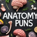Anatomy Puns