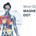 what-does-magnesium-do