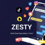 what-does-zesty-mean